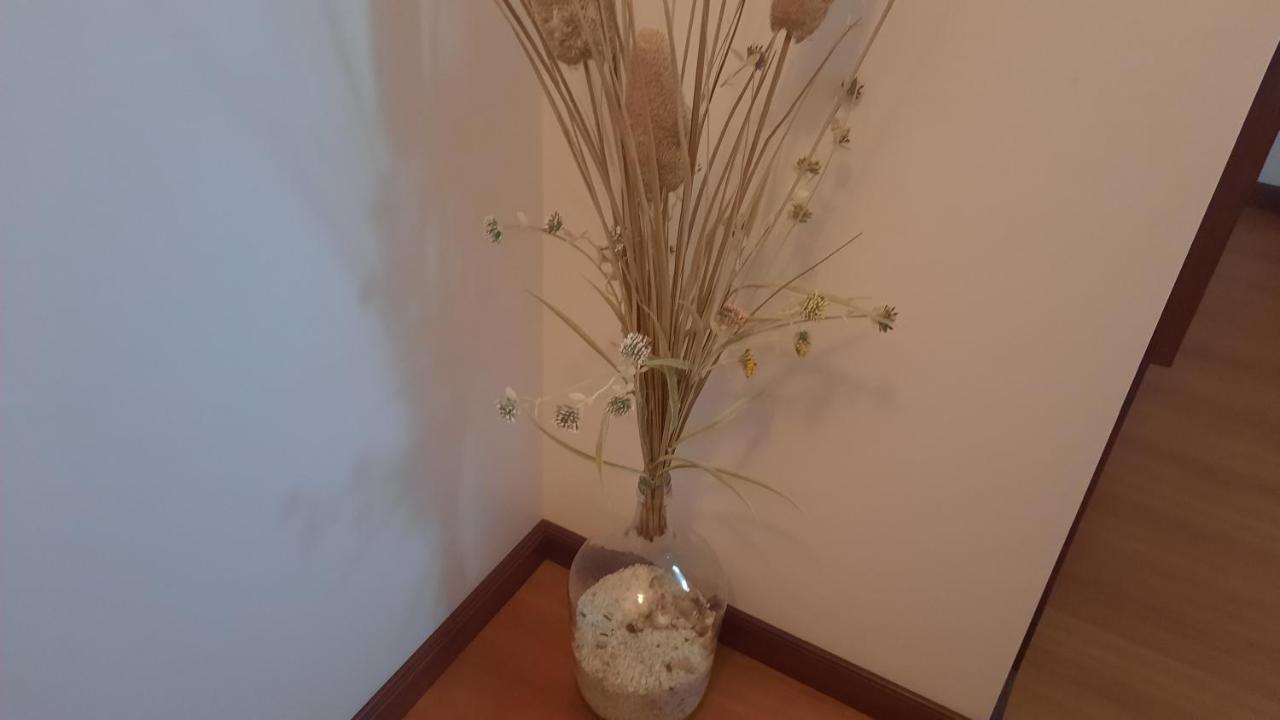 דירות אבאירו Ana Paula House מראה חיצוני תמונה